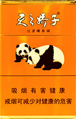 娇子(盛世天娇)